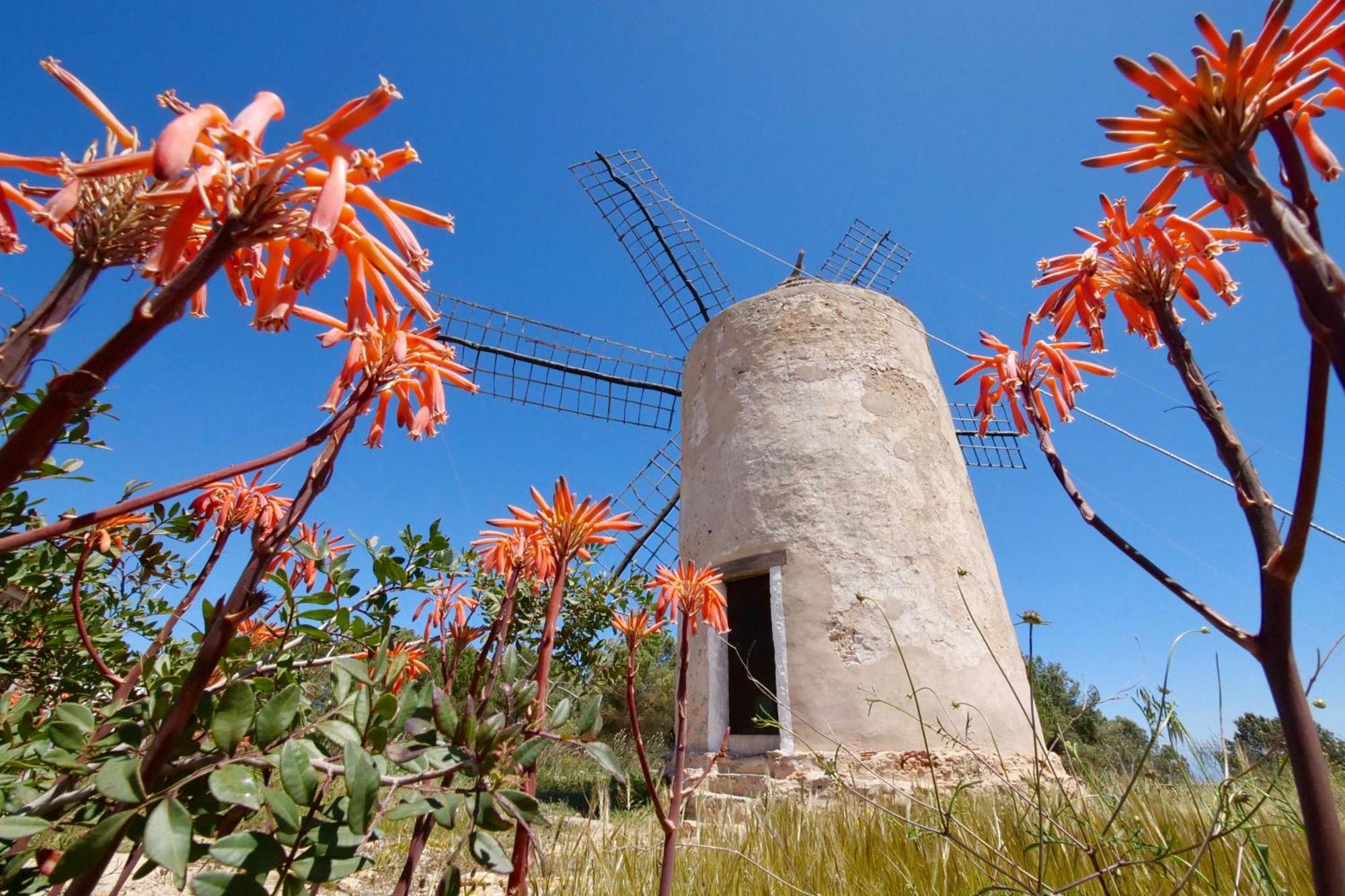 Sabina Suites - Astbury Formentera La Savina  Esterno foto